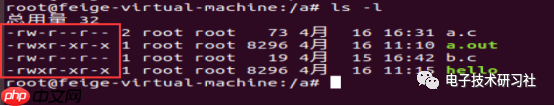 Linux笔记（1）| 常用命令