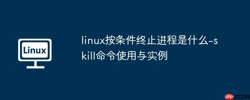 linux按条件终止进程是什么-skill命令使用与实例