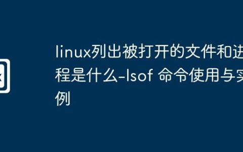linux列出被打开的文件和进程是什么-lsof 命令使用与实例