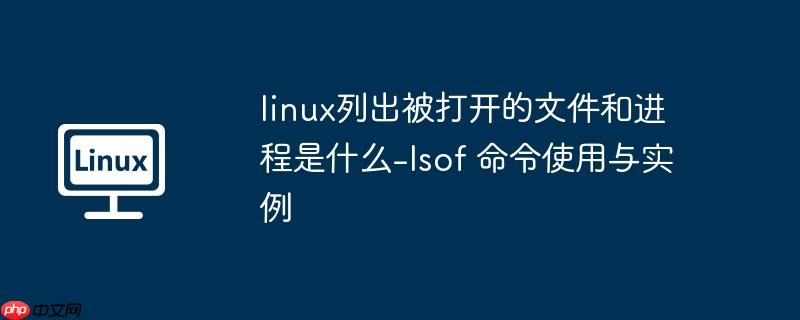 linux列出被打开的文件和进程是什么-lsof 命令使用与实例