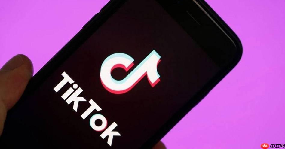TikTok广告开户0门槛指南!资料准备+审核技巧详解,新手也能快速下号