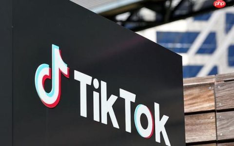 TikTok广告开户全攻略！0基础到审核通过，资料准备+下号实操教程