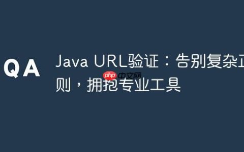 Java URL验证：告别复杂正则，拥抱专业工具