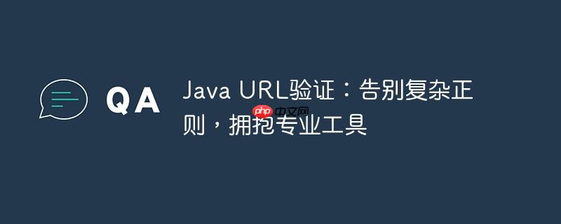 java url验证:告别复杂正则,拥抱专业工具