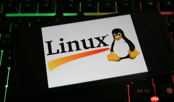 如何查看Linux网络接口NUMA绑定 跨节点访问优化
