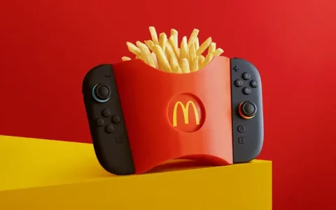 Switch 2创意手柄座3D打印数据开源 喜爱薯条玩家狂喜
