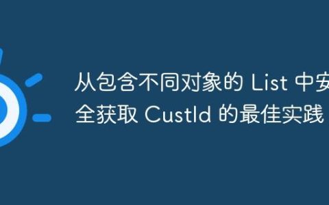 从包含不同对象的 List 中安全获取 CustId 的最佳实践