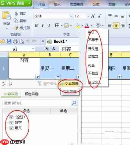 wps表格筛选数据简单教程