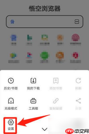 悟空浏览器如何设置无痕浏览 悟空浏览器设置无痕浏览方法介绍