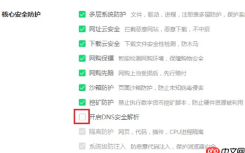 360极速浏览器怎么关闭DNS 360极速浏览器关闭DNS安全解析教程
