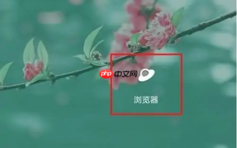 vivo浏览器怎么恢复出厂设置 vivo浏览器还原默认设置方法