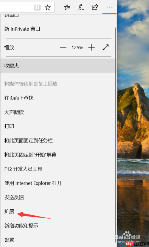 edge怎么翻译页面 翻译页面方法