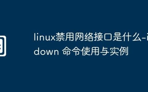 linux禁用网络接口是什么-ifdown 命令使用与实例