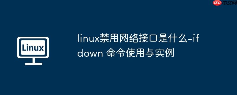 linux禁用网络接口是什么-ifdown 命令使用与实例