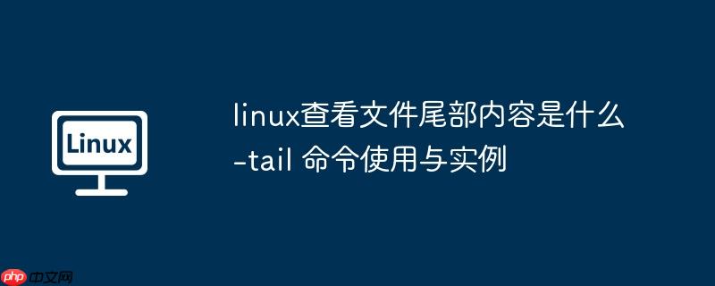 linux查看文件尾部内容是什么-tail 命令使用与实例