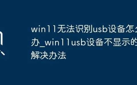 win11无法识别usb设备怎么办_win11usb设备不显示的解决办法