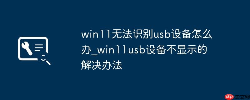 win11无法识别usb设备怎么办_win11usb设备不显示的解决办法
