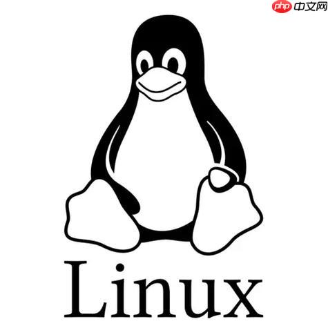 如何实现Linux网络接口LLDP发现 链路层邻居探测协议