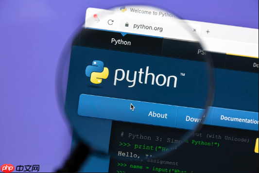 Python数据分析怎么做？Pandas入门指南