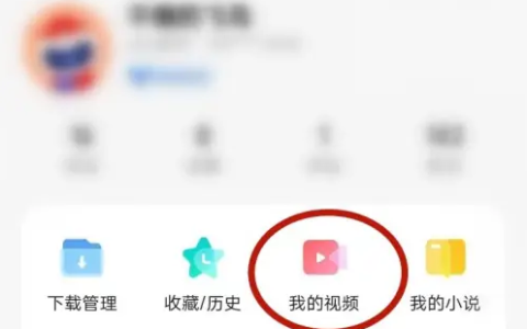 vivo浏览器隐藏视频在哪里 vivo浏览器隐私视频找到方法