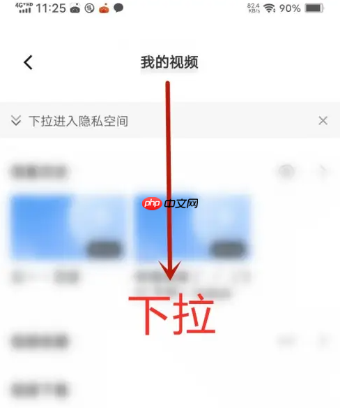 vivo浏览器隐藏视频在哪里 vivo浏览器隐私视频找到方法