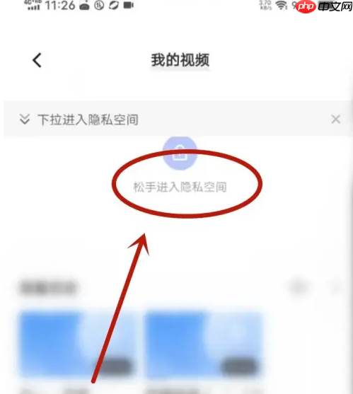 vivo浏览器隐藏视频在哪里 vivo浏览器隐私视频找到方法