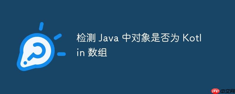 检测 java 中对象是否为 kotlin 数组