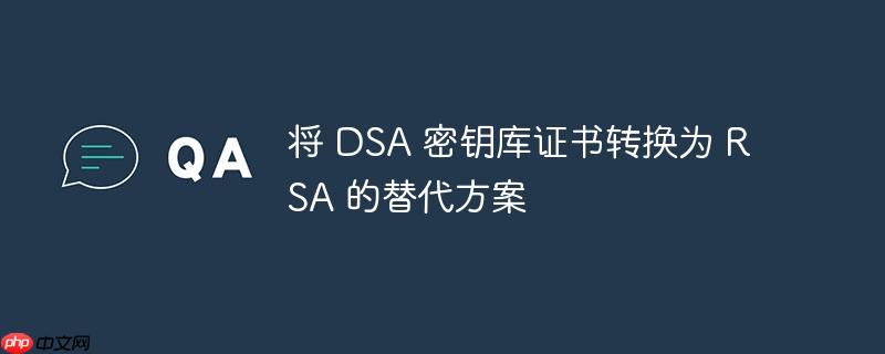 将 DSA 密钥库证书转换为 RSA 的替代方案
