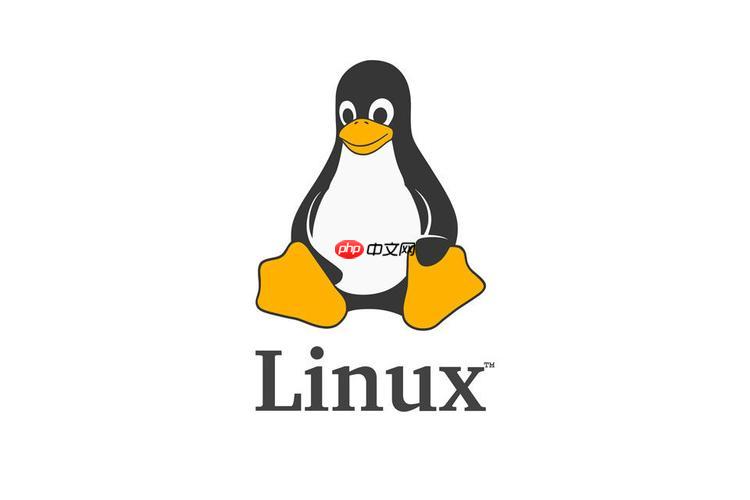 如何配置Linux网络接口TCP优化 内核参数调优实战指南