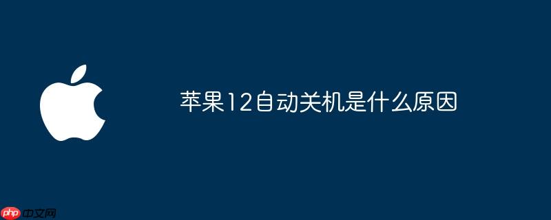 苹果12自动关机是什么原因