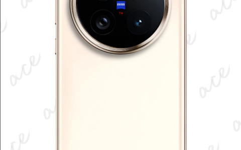 vivo X300 Pro外观和配置曝光 设计小改 配7000mAh电池