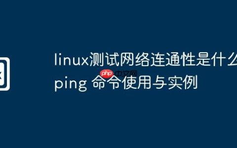 linux测试网络连通性是什么-ping 命令使用与实例