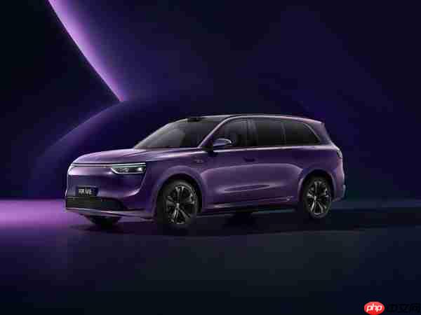 2025H1新能源品牌售后能力排名:蔚来问界小米居前三