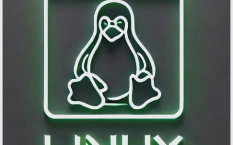 如何管理Linux网络接口命名规则 一致性设备命名方案解析