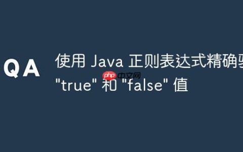 使用 Java 正则表达式精确验证 “true” 和 “false” 值