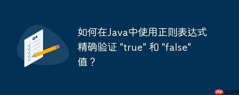 如何在java中使用正则表达式精确验证 