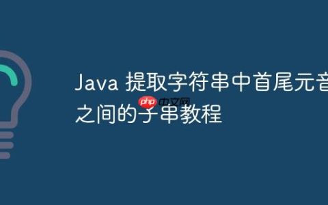 Java 提取字符串中首尾元音之间的子串教程