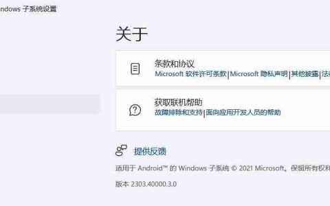 Win11安卓子系统WSA2303.40000.3.0支持画中画PIP功能