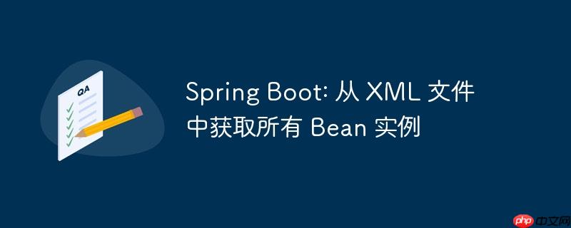 spring boot: 从 xml 文件中获取所有 bean 实例