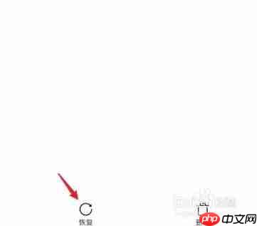 vivo浏览器视频删除了怎么恢复 操作方法介绍