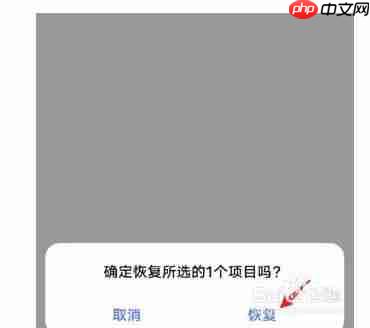 vivo浏览器视频删除了怎么恢复 操作方法介绍