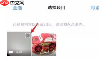 vivo浏览器视频删除了怎么恢复 操作方法介绍