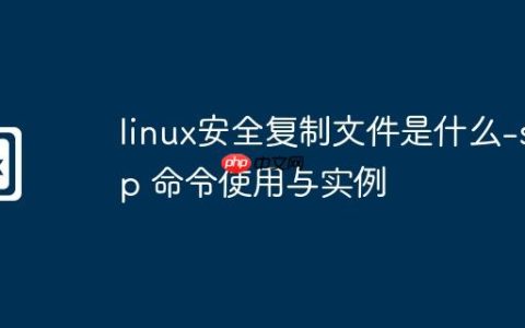 linux安全复制文件是什么-scp 命令使用与实例