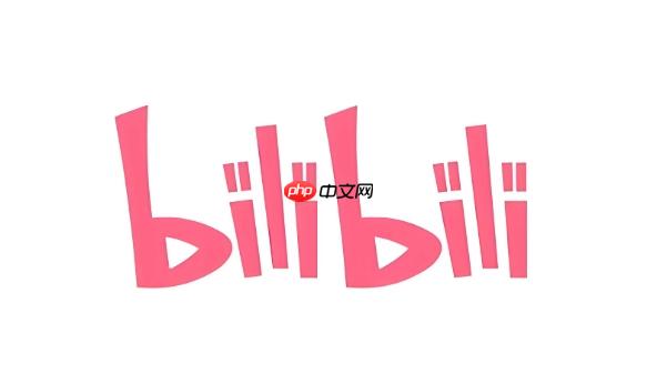 B站在线免费进入网站入口轻松获取
