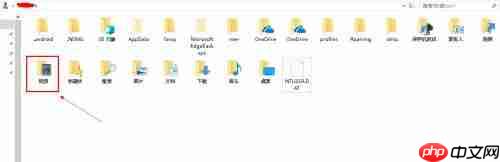 Win10自带录屏功能打不开怎么办?
