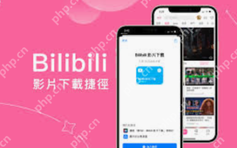 bilibili免费资源网 bilibili免费资源入口网站
