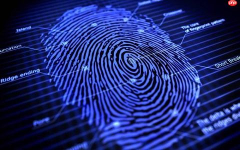 指纹浏览器的使用方法是什么 新手入门操作步骤图解