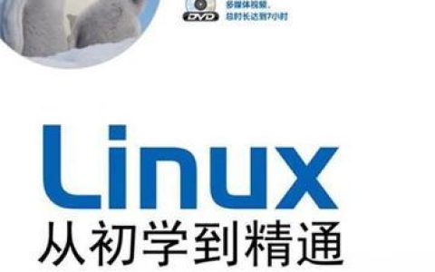 如何测试网络吞吐量 iperf性能测试工具