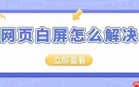 网页白屏怎么解决 电脑打开浏览器网页显示白屏的解决方法