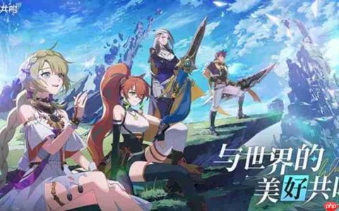 星痕共鸣弓箭手怎么玩 弓箭手职业玩法详细解析